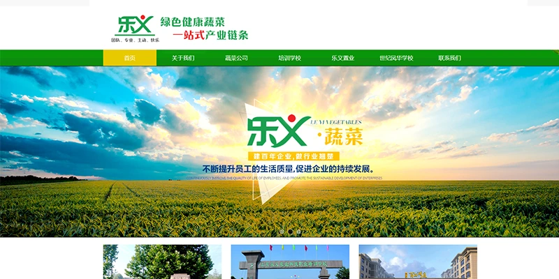 易云网络寿光乐义投资集团官网建设案例页面截图：集团门户与产业链展示站